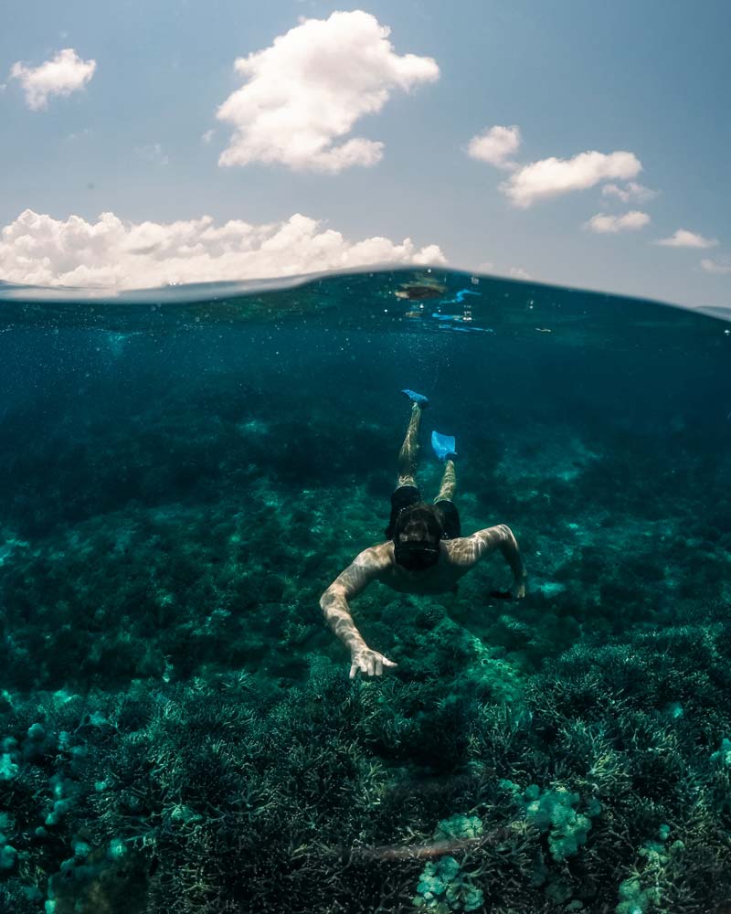 Plongée sous-marine